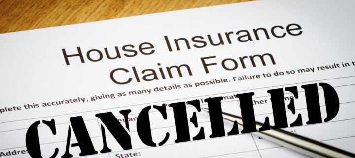 Public Adjuster In Illinois – What You Need To Know